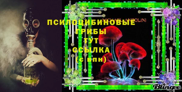 дурь Пестово