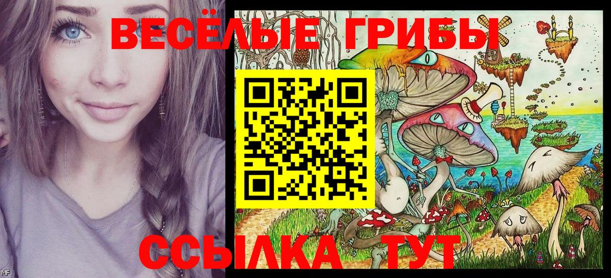 Псилоцибиновые грибы ЛСД Белореченск
